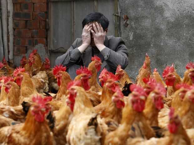 Transmissão do vírus H7N9 teria origem nas aves, aponta estudo (Foto: Reuters/William Hong)