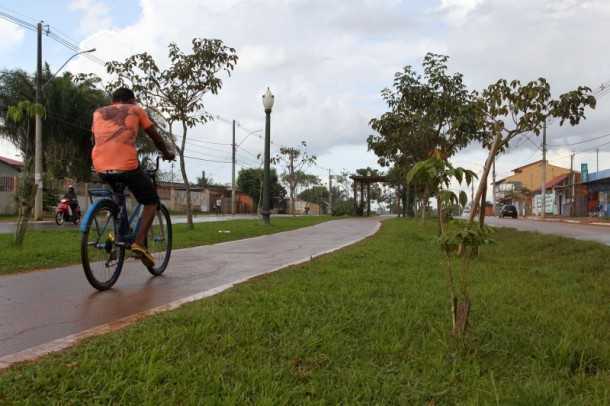 A meta é que até 2014 sejam arborizadas 100 quilômetros de ruas só na capital acreana (Foto: Angela Peres/Secom)