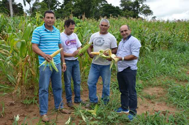 Prefeito Everaldo Gomes (dir), juntamente com produtor e assessores foram ver a produção local de milho - Foto: Assessoria