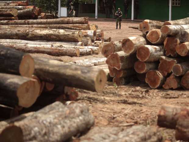 Agentes do Ibama inspecionam madeira ilegal apreendida na reserva indígena do Alto Guama, em Nova Esperança do Piriá (PA) (Foto: Ricardo Moraes/Reuters)