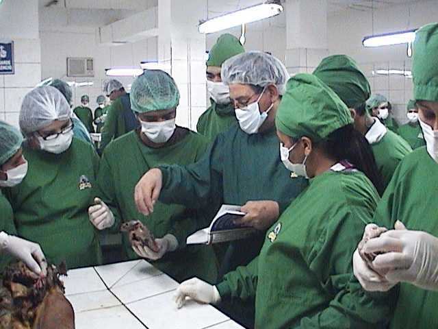 A procurar pelo curso de medicina na Bolívia tem diminuído por parte dos brasileiros 