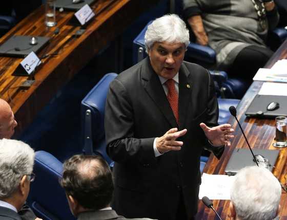 Senador Delcídio do Amaral (PT-MS), líder do governo no Senado (Foto: Ailton de Freitas / Ag. O Globo)