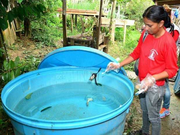Ações de combate a dengue devem ser intensificadas com repasse federal (Foto: Divulgação/Ascom Prefeitura de Rio Branco)