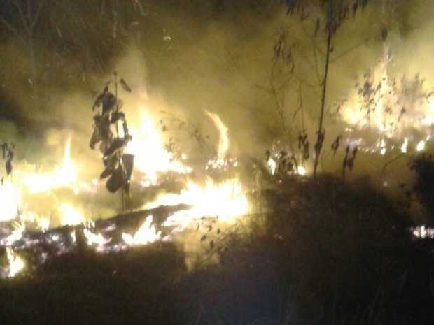 Fogo consumiu 30 hectares de terra, segundo os Bombeiros (Foto: Divulgação/Corpo de Bombeiros)