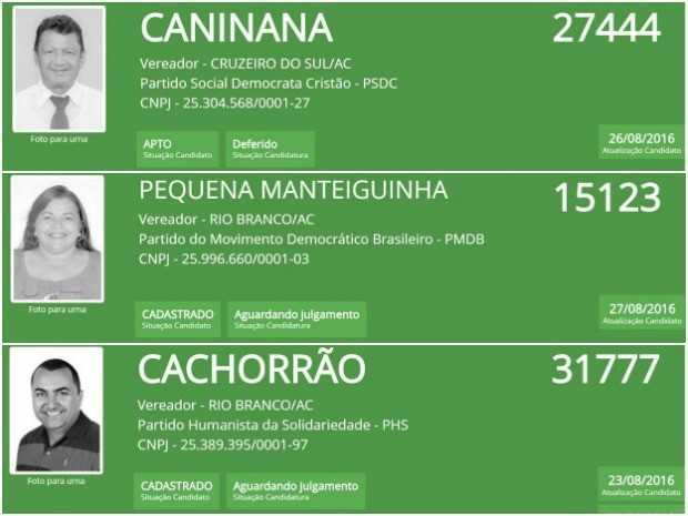 Caninana, Pequena Manteiguinha e Cachorrão disputam eleições 2016 no Acre (Foto: Arte/G1)