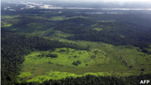 Estudo mapeou principais causas de desmatamento na floresta amazônica
