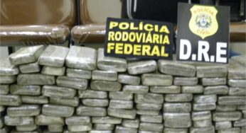 PRF e Polícia Civil apreendem 99kg de maconha, traficantes e receptadores