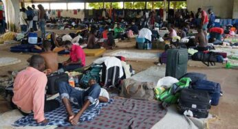 Falta de empregos poderá aumentar população de haitianos na fronteira
