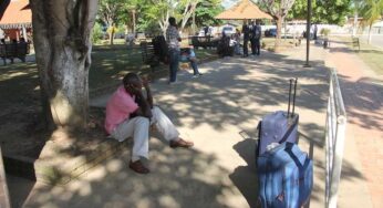 Cada haitiano que entra no Brasil custa cerca de 420 dólares americanos aos coiotes