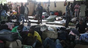 Governo federal promove reunião sobre imigração de haitianos no Brasil