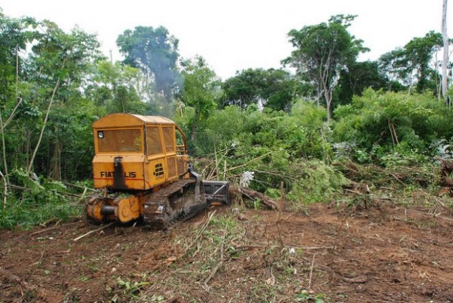 A exploração de madeira e o comércio de carbono vêm deixando devastação no Acre, diz o CIMI