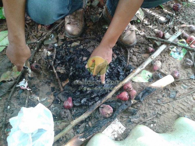 Papeis queimados no quintal do menor comprova a ligação em assaltos na lado boliviano.