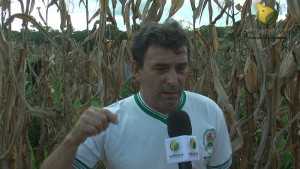 Secretário Municipal de Agricultura, Clécio Gadelha, "frutos se colhem quando se garante um trabalho de forma dedicada" - Foto/Captura