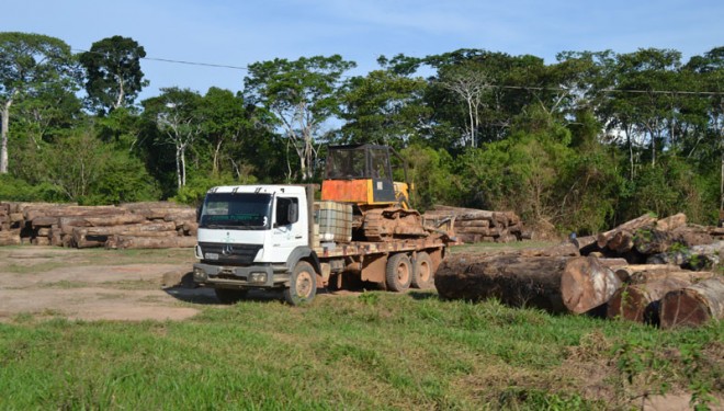 Madeiras retiradas da Reserva Extrativista Chico Mendes são exportadas para fora do Brasil/Foto: Charlton Lopes/ContilNet