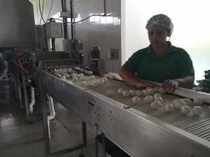 Funcionária do setor de seleção de ovos da Granja Carijó: 120 mil por dia