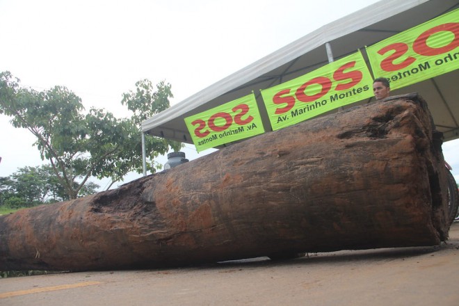 Troncos de árvores foram usados para bloquear a BR por quase 10 horas - foto: Alexandre Lima