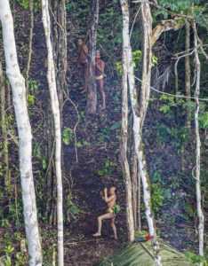 Comunidade indígena totalmente isolada no meio da Floresta Amazônica /Foto: Ricardo Stuckert