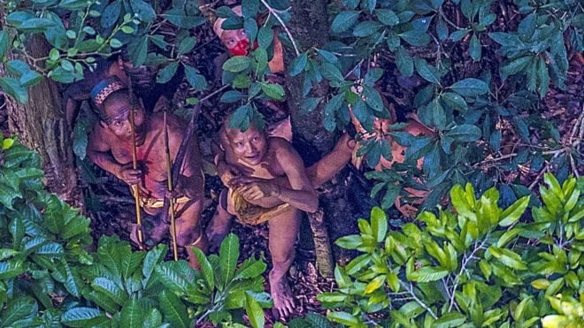 Indígenas escondidos entre árvores com medo do helicóptero /Foto: Ricardo Stuckert