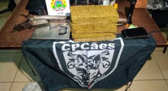 Polícia prende homens acusados de portarem 3 quilos de maconha, uma escopeta e animais silvestres