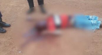 Homem é morto a pauladas e capacetadas após bebedeira no Panorama