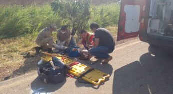 Homem tem fratura na perna e ferimentos pelo corpo após atropelamento na BR-317