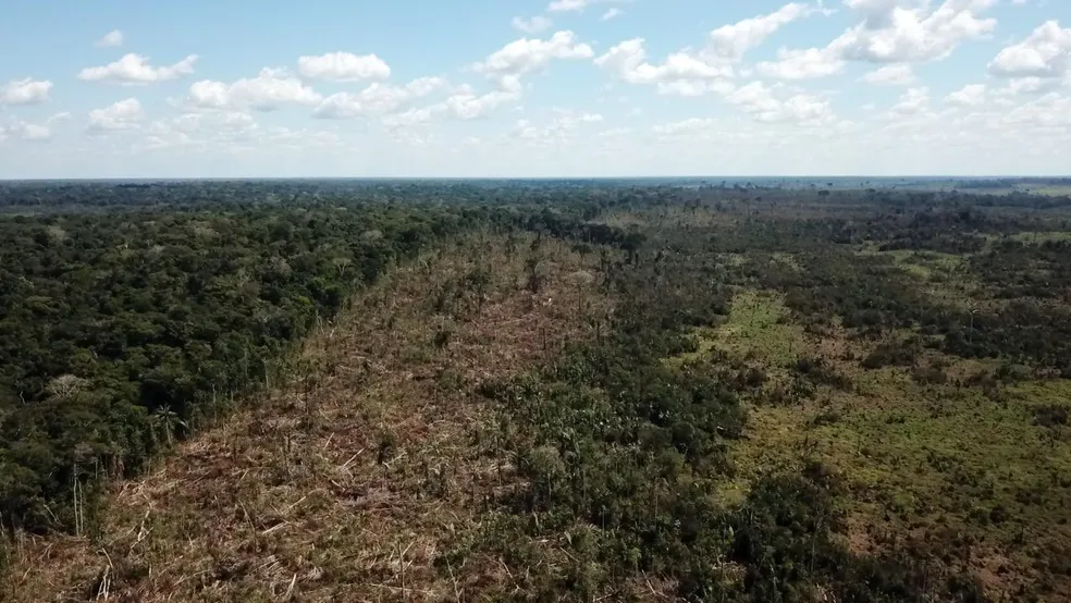 Com 320 km² de área destruída em 10 meses, Acre está entre estados com áreas protegidas mais desmatadas — Foto: Arquivo/PF-AC