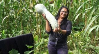 Prefeitura de Rio Branco está presente na Transacreana com incentivos agrícolas