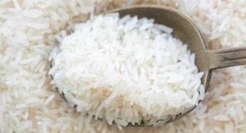 CGU vai investigar possíveis irregularidades em importação de arroz pela Conab