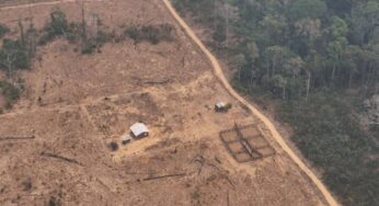 Vídeos: Invasores de terra ateiam fogo em fazenda e proprietário faz apelo às autoridades