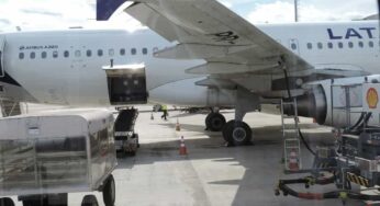 Voos diretos de Rio Branco para São Paulo por R$ 971, ida e volta