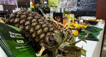 Abacaxi gigante de Tarauacá e farofa de pirarucu com castanha e banana comprida impressionam público no estande do Acre na Festuris, em Gramado