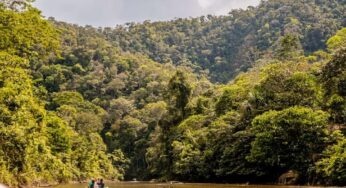 Seminário Internacional Txai Amazônia vai reunir lideranças no Acre para discutir bioeconomia