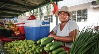 Educação reabre chamada para aquisição de alimentos no Alto Acre