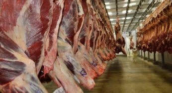Governo do Acre celebra mais de R$ 200 milhões em investimentos na indústria de proteína animal