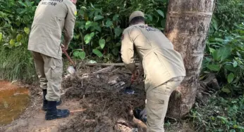 Polícia encontra dois corpos enterrados em cova rasa em área de mata em Cruzeiro do Sul