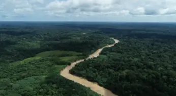 Chuvas reduzem quase 100% os focos de queimadas no Acre em 2025