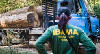 Acre recebe R$ 175 milhões em multas ambientais em um ano; Feijó é o município mais autuado