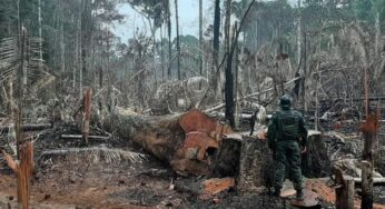 Projeto de lei federal ‘implode’ licenciamento ambiental, afirma especialista
