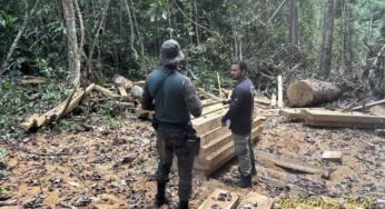 Batalhão Ambiental é finalista do Prêmio Brasil Mais 2025 ao implantar ferramenta que reduziu taxa do desmatamento em 49,6% em quatro anos