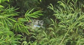 Motorista perde controle de carro e cai em ribanceira ao lado de ponte, em Rio Branco