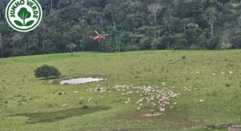 MMA esclarece que operação na Resex Chico Mendes cumpre decisão judicial e alerta para a propagação de desinformação sobre as ações