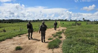 Para combater desmatamento na Resex Chico Mendes, ICMBio apreende animais criados em área embargada